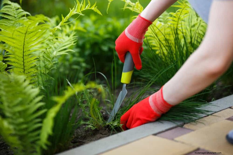 Peralatan Berkebun Musim Semi Terbaik:Peralatan Penting untuk Taman yang Berkembang 