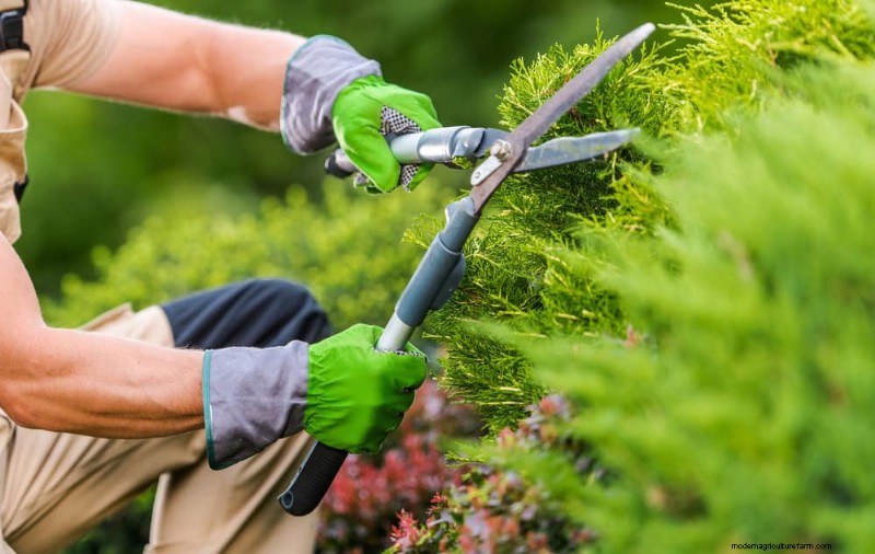 Peralatan Berkebun Musim Semi Terbaik:Peralatan Penting untuk Taman yang Berkembang 