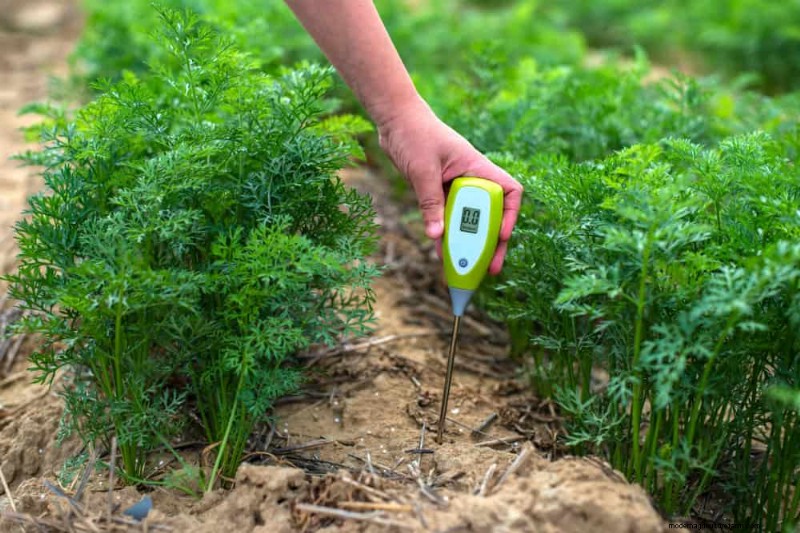 Peralatan Berkebun Musim Semi Terbaik:Peralatan Penting untuk Taman yang Berkembang 