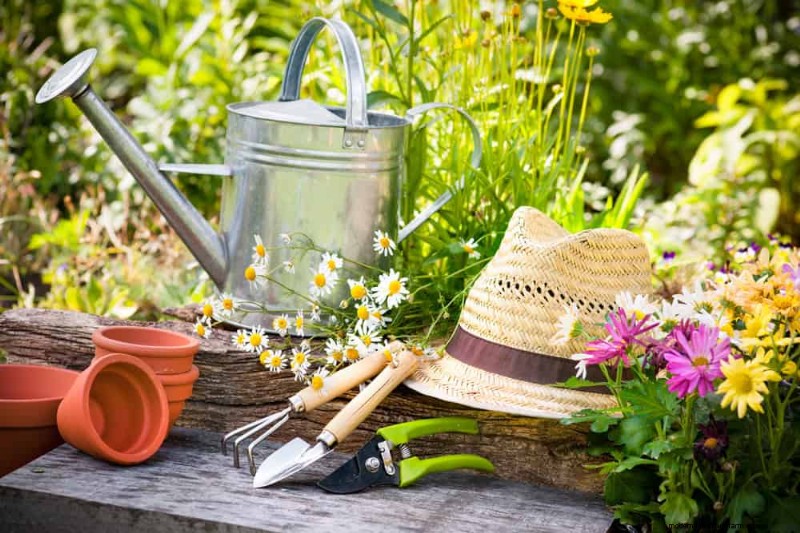 Peralatan Berkebun Musim Semi Terbaik:Peralatan Penting untuk Taman yang Berkembang 