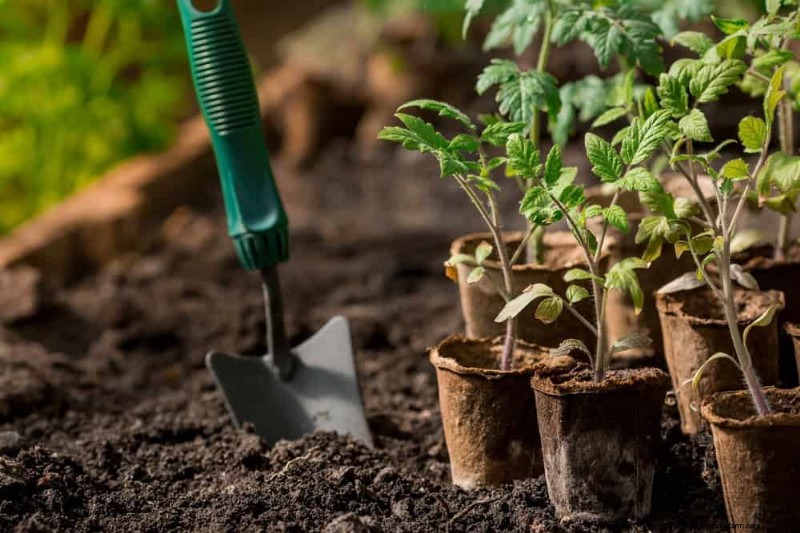 Schützen Sie Ihren Garten:21 bewährte Methoden zur Schädlingsbekämpfung im Frühling 