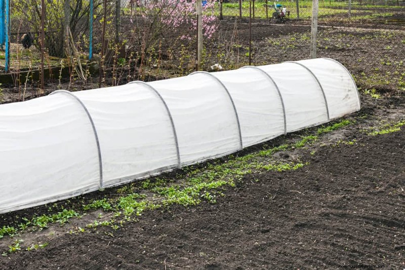 Schützen Sie Ihren Garten:21 bewährte Methoden zur Schädlingsbekämpfung im Frühling 