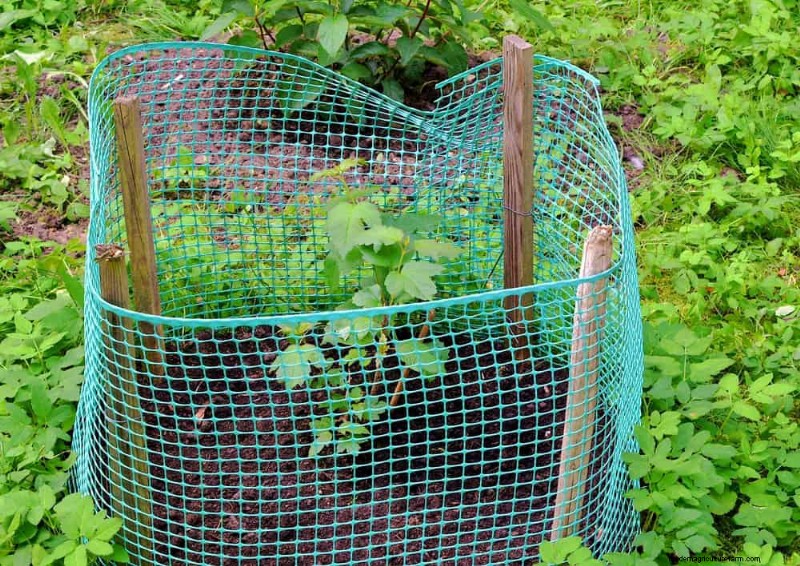 Schützen Sie Ihren Garten:21 bewährte Methoden zur Schädlingsbekämpfung im Frühling 