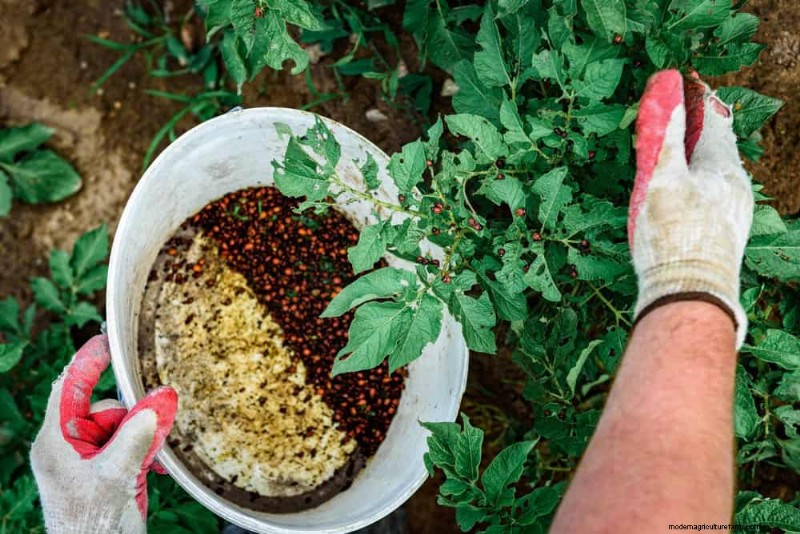 Schützen Sie Ihren Garten:21 bewährte Methoden zur Schädlingsbekämpfung im Frühling 
