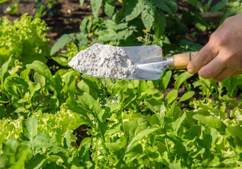 Schützen Sie Ihren Garten:21 bewährte Methoden zur Schädlingsbekämpfung im Frühling 