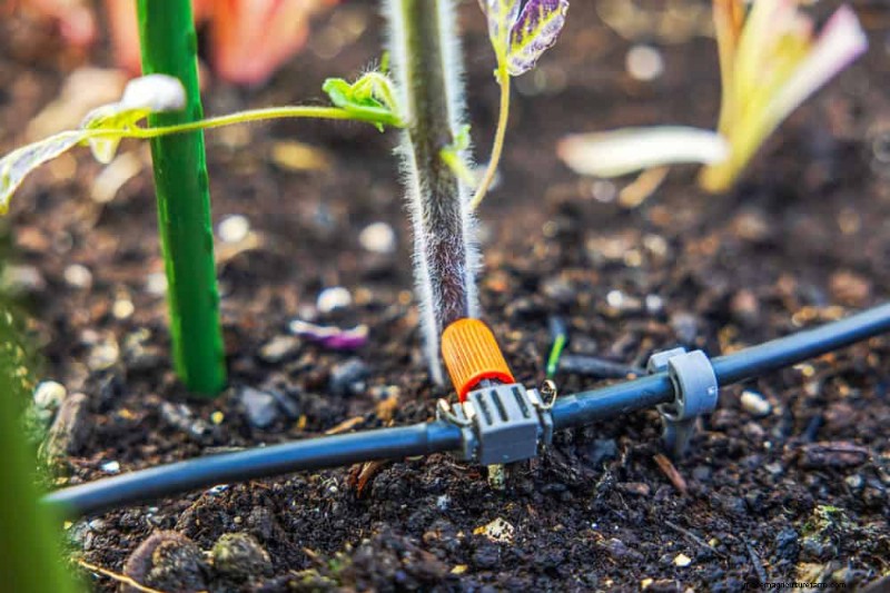 Schützen Sie Ihren Garten:21 bewährte Methoden zur Schädlingsbekämpfung im Frühling 