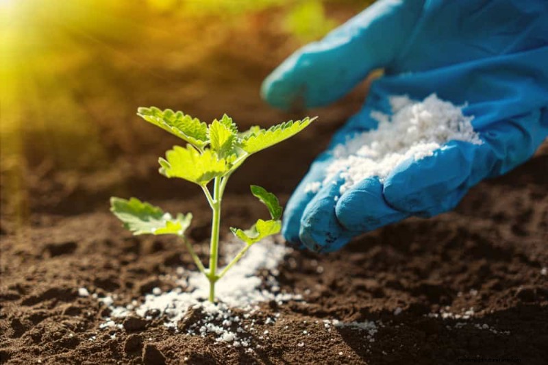 Schützen Sie Ihren Garten:21 bewährte Methoden zur Schädlingsbekämpfung im Frühling 