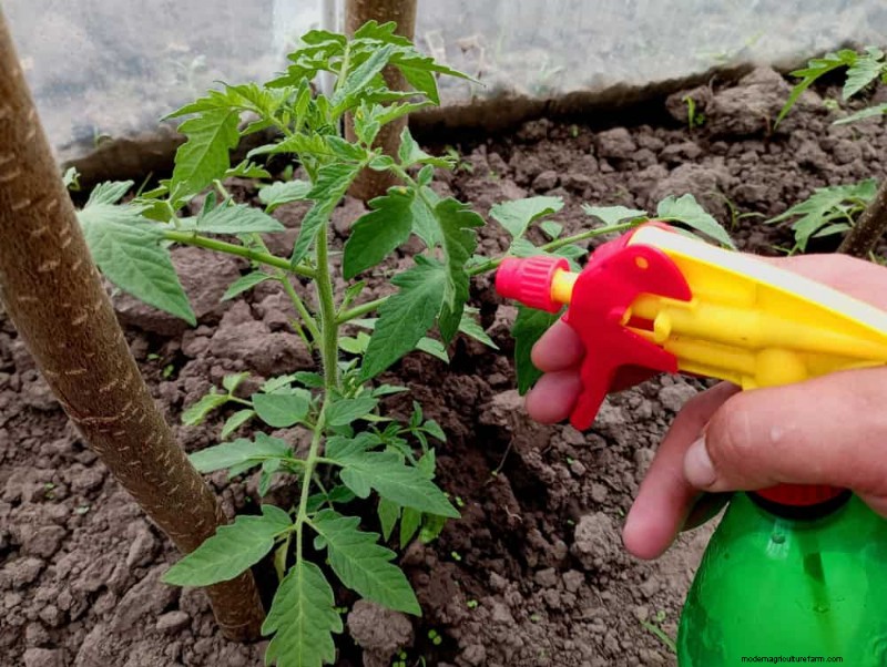 Schützen Sie Ihren Garten:21 bewährte Methoden zur Schädlingsbekämpfung im Frühling 