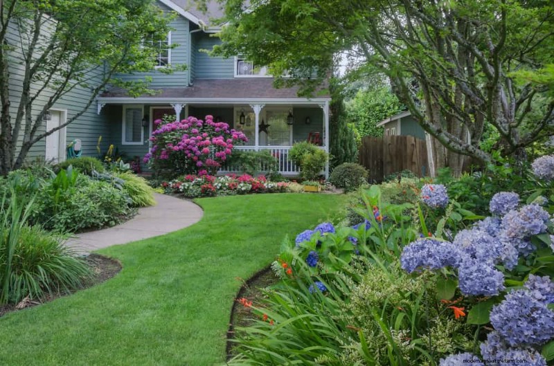 Beste Pflanzen für natürliche Gartenränder | Tipps für Landschaftsarchitekten 