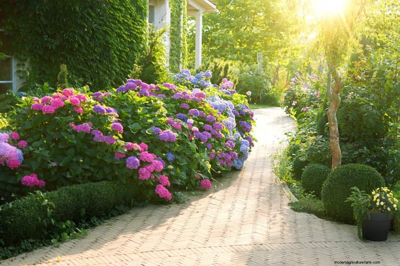 Beste Pflanzen für natürliche Gartenränder | Tipps für Landschaftsarchitekten 