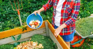 Beginnersgids:Hoe u dit voorjaar kunt beginnen met composteren voor een gezonde bodem 