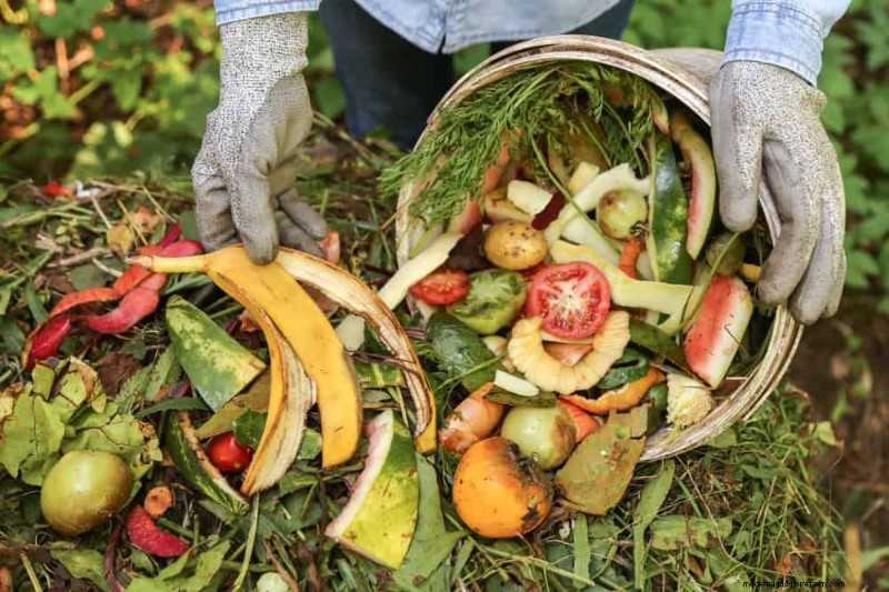 Beginnersgids:Hoe u dit voorjaar kunt beginnen met composteren voor een gezonde bodem 