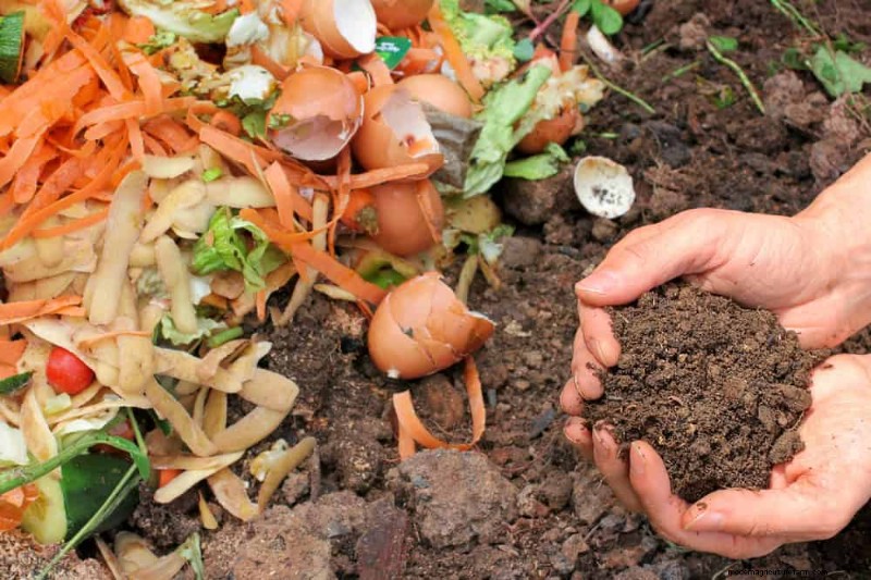 Beginnersgids:Hoe u dit voorjaar kunt beginnen met composteren voor een gezonde bodem 