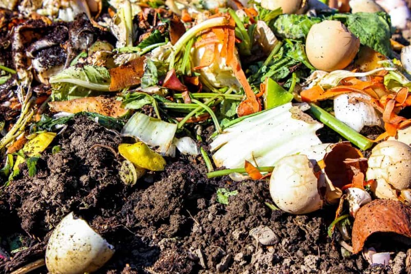 Beginnersgids:Hoe u dit voorjaar kunt beginnen met composteren voor een gezonde bodem 