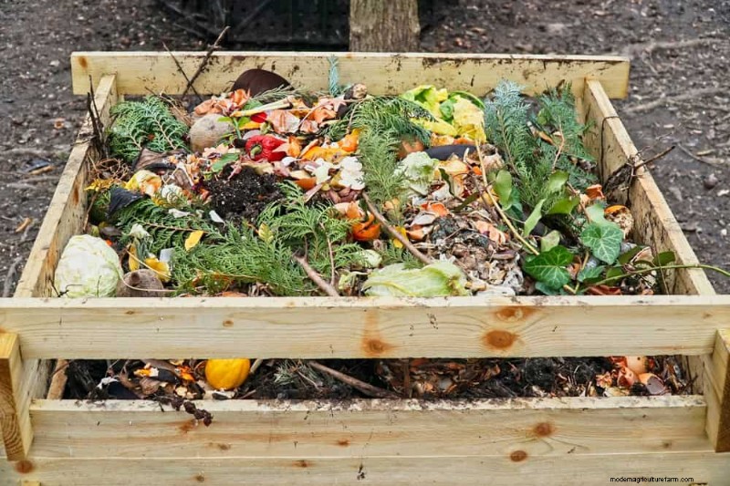 Beginnersgids:Hoe u dit voorjaar kunt beginnen met composteren voor een gezonde bodem 