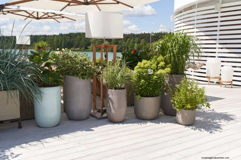 Veelvoorkomende fouten bij het water geven van kamerplanten:het ontkrachten van mythen over gezondere planten 