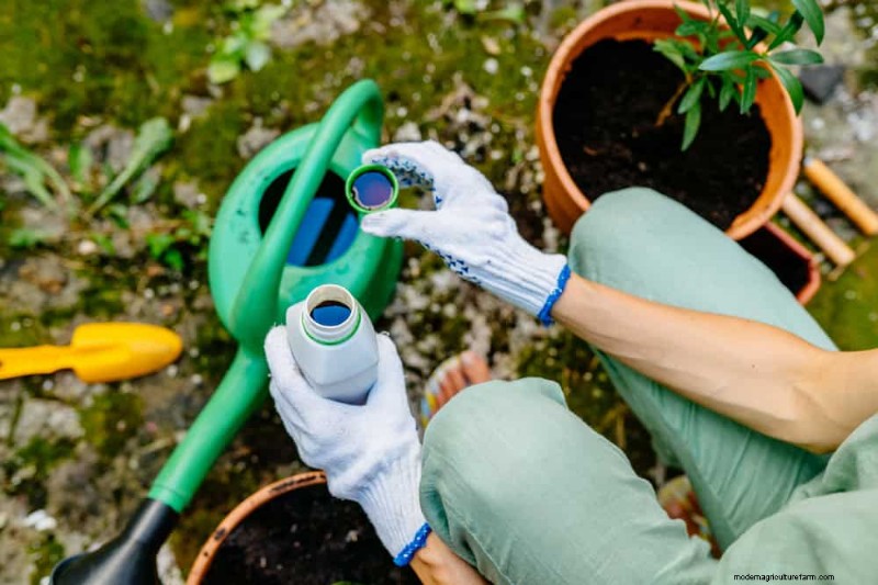 Veelvoorkomende fouten bij het water geven van kamerplanten:het ontkrachten van mythen over gezondere planten 