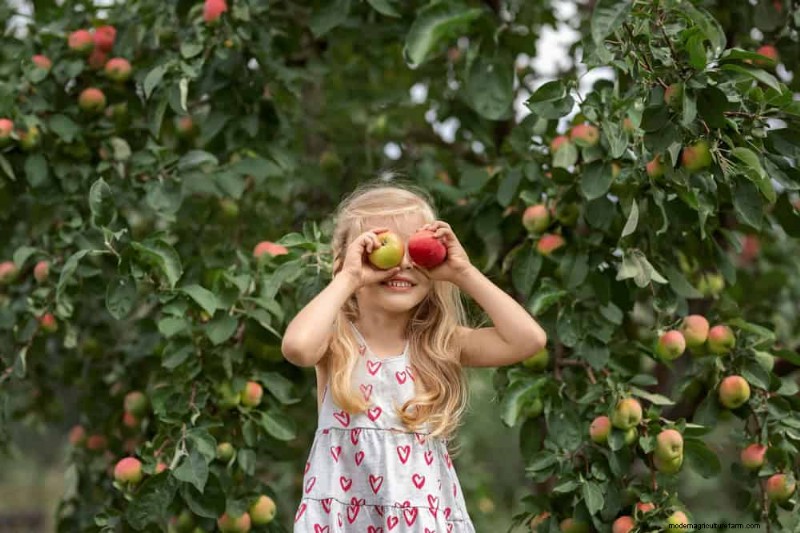 I 10 migliori alberi da frutto per la semina primaverile:assicurati un raccolto dolce 