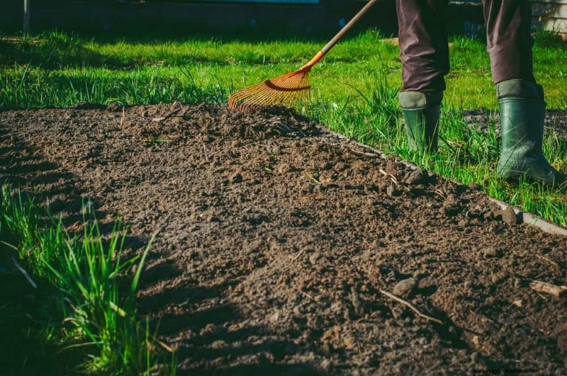 Errori di giardinaggio primaverile:evita le insidie ​​comuni per un giardino rigoglioso 