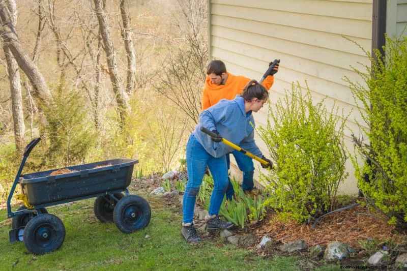 Errori di giardinaggio primaverile:evita le insidie ​​comuni per un giardino rigoglioso 