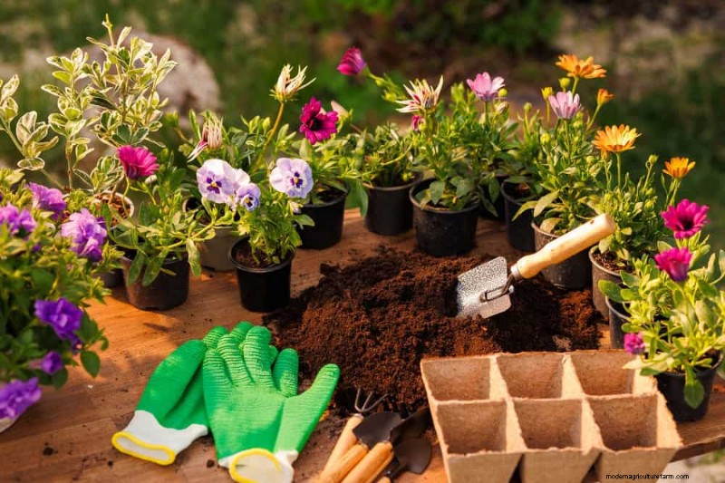 Errori di giardinaggio primaverile:evita le insidie ​​comuni per un giardino rigoglioso 