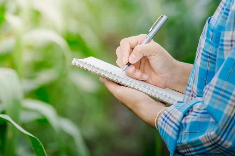 Errori di giardinaggio primaverile:evita le insidie ​​comuni per un giardino rigoglioso 