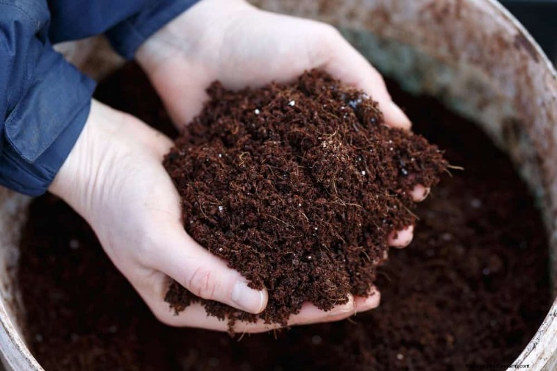 Windowsill Herb Garden:een stapsgewijze handleiding voor het kweken van verse kruiden 