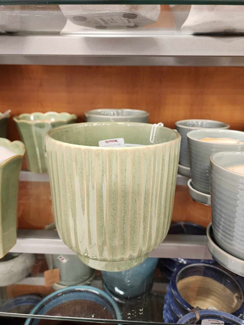 Beste plantenbakken voor het voorjaar van 2025 bij TJ Maxx:21 betaalbare vondsten 