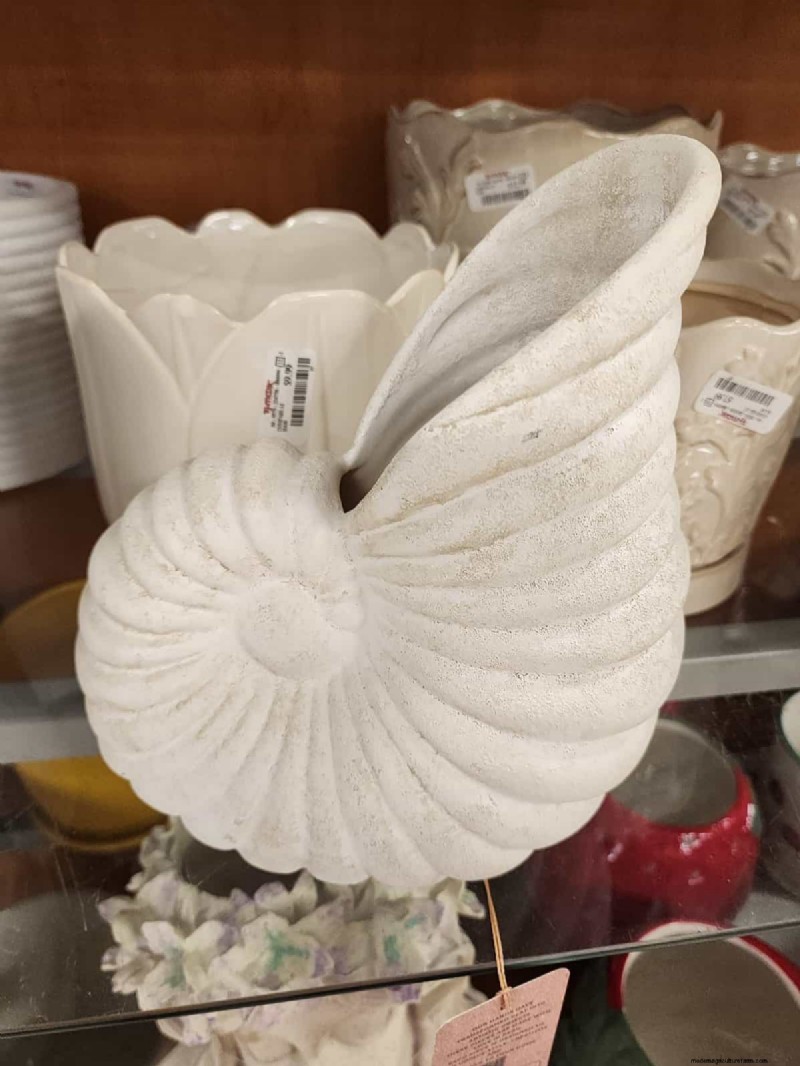 Beste plantenbakken voor het voorjaar van 2025 bij TJ Maxx:21 betaalbare vondsten 