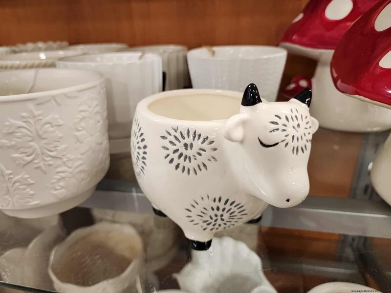 Beste plantenbakken voor het voorjaar van 2025 bij TJ Maxx:21 betaalbare vondsten 