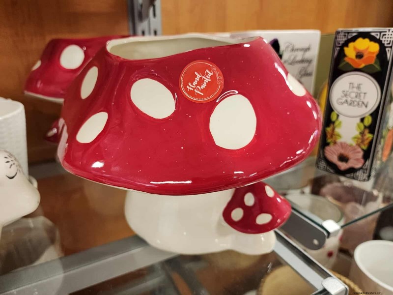 Beste plantenbakken voor het voorjaar van 2025 bij TJ Maxx:21 betaalbare vondsten 