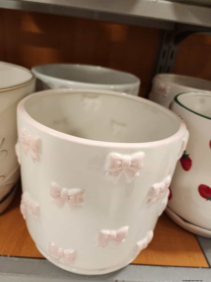 Beste plantenbakken voor het voorjaar van 2025 bij TJ Maxx:21 betaalbare vondsten 