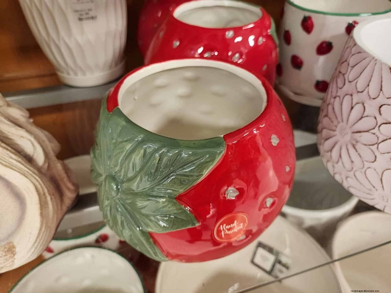 Beste plantenbakken voor het voorjaar van 2025 bij TJ Maxx:21 betaalbare vondsten 