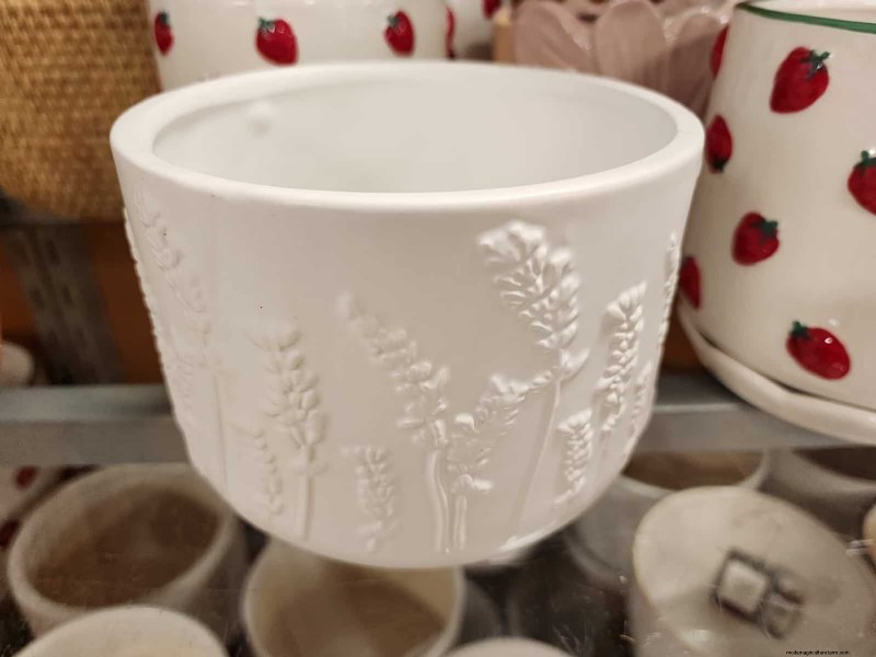 Beste plantenbakken voor het voorjaar van 2025 bij TJ Maxx:21 betaalbare vondsten 