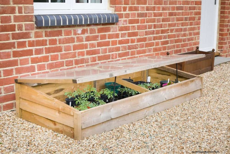 Bescherm uw tuin:12 tips voor vorstbescherming in het late voorjaar 