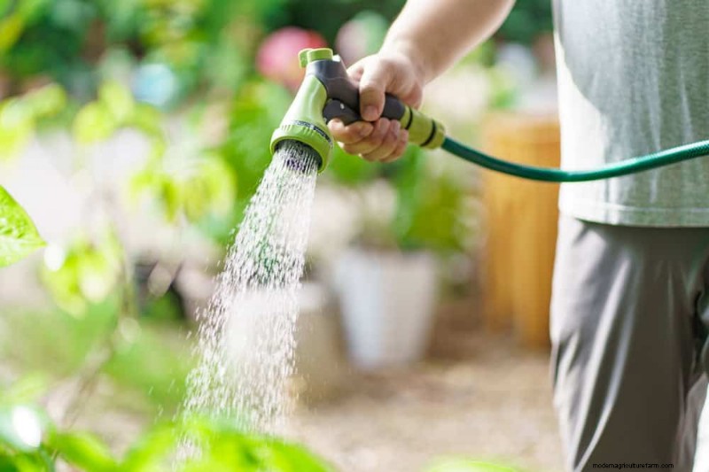 Bescherm uw tuin:12 tips voor vorstbescherming in het late voorjaar 