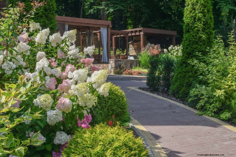 Erstellen Sie einen Schmetterlingsgarten:11 einfache Schritte für den Frühling 