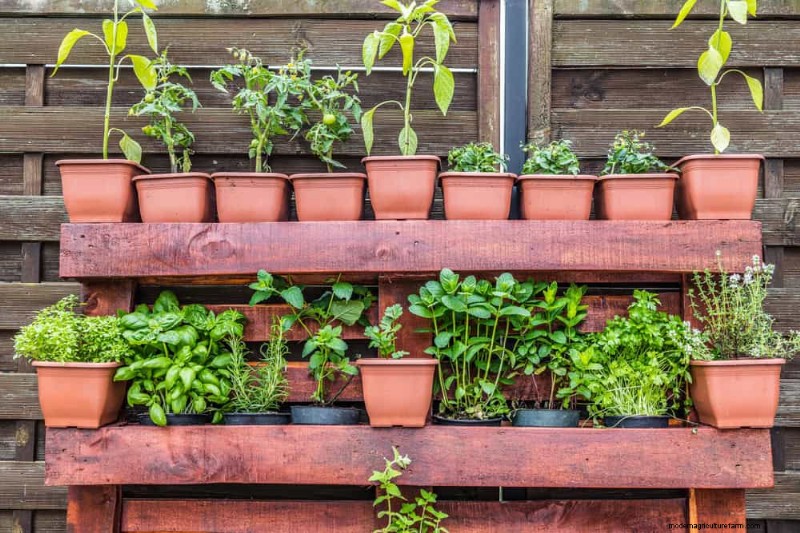 12 einfache DIY-Gartenprojekte für eine frühlingshafte Gartenerfrischung 