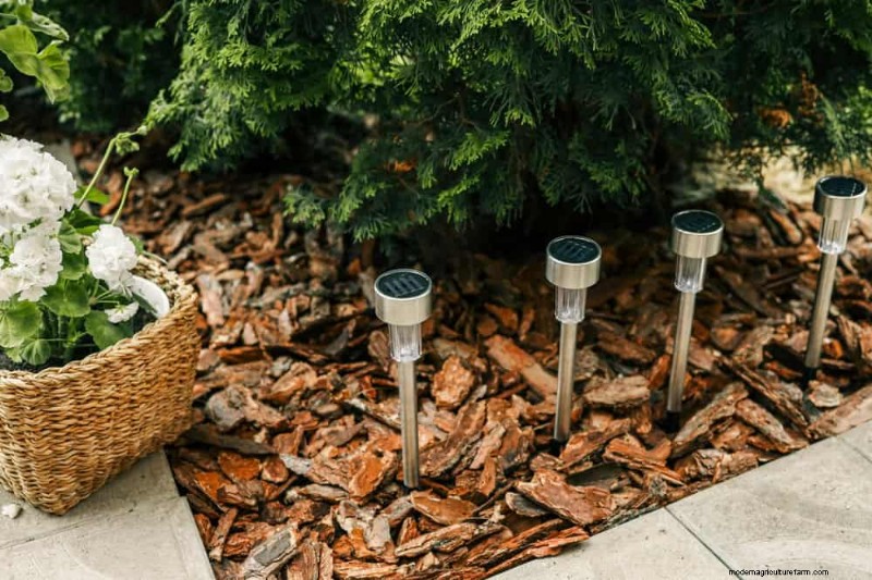 12 einfache DIY-Gartenprojekte für eine frühlingshafte Gartenerfrischung 