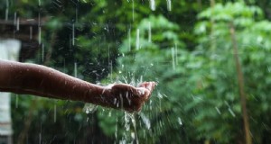 Raccolta dell acqua piovana per i giardini:una guida completa 