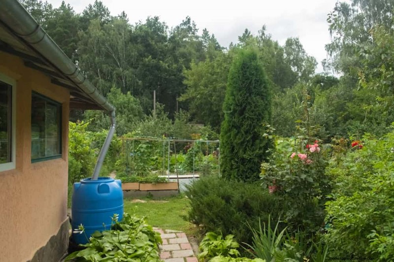 Pemanenan Air Hujan untuk Kebun:Panduan Lengkap 