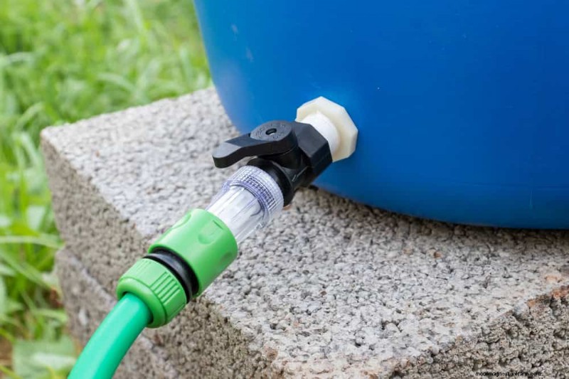 Pemanenan Air Hujan untuk Kebun:Panduan Lengkap 