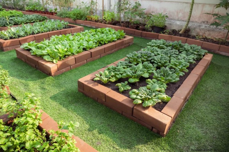 Pemanenan Air Hujan untuk Kebun:Panduan Lengkap 
