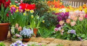Maridajes de flores de primavera:15 combinaciones impresionantes para tu jardín 