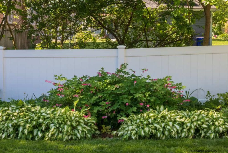 春の花の組み合わせ:あなたの庭のための 15 の素晴らしい組み合わせ 