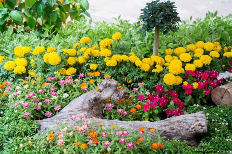 春の花の組み合わせ:あなたの庭のための 15 の素晴らしい組み合わせ 