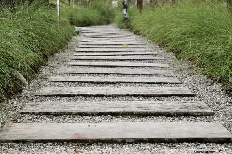 あなたの庭を変える:15 の素晴らしい庭の小道のアイデア 
