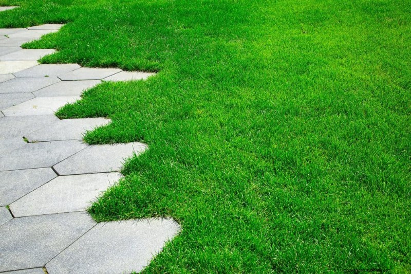 あなたの庭を変える:15 の素晴らしい庭の小道のアイデア 