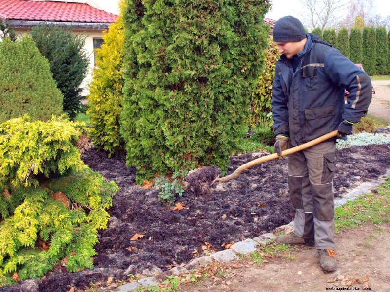 Door de winter beschadigde tuinbedden:11 reparatie- en restauratietips 