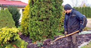 Letti da giardino danneggiati dall inverno:11 consigli di riparazione e restauro 
